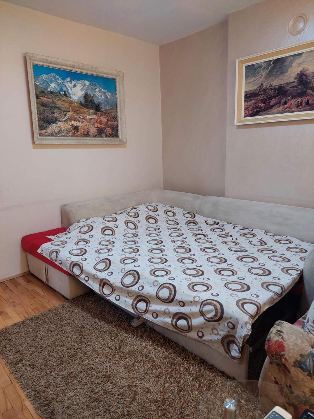 Apartment Vuk Podgorica Exteriér fotografie
